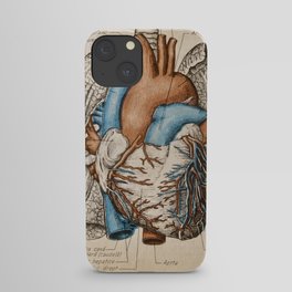 Vintage anatomy illustration iPhone Case
