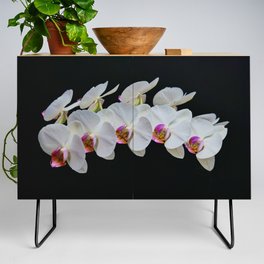 Orchids Credenza