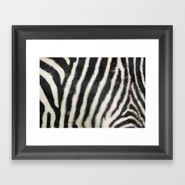 Zebra print Framed Art Print
