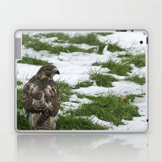 Hawks Winter Glance Laptop & iPad Skin
