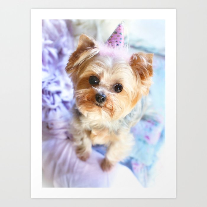 Yorkie Happy Birthday Art Print By Karenpulferfocht Society6