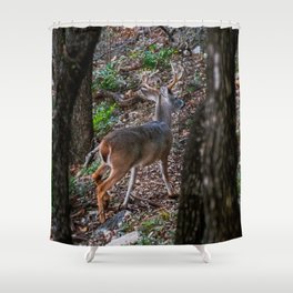 Texas Deer Shower Curtain