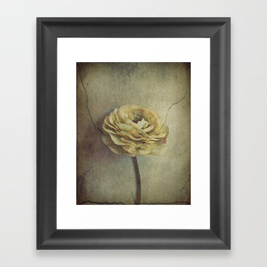 Vintage Blossoms Framed Art Print