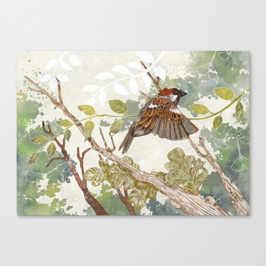 Flying away Canvas Print