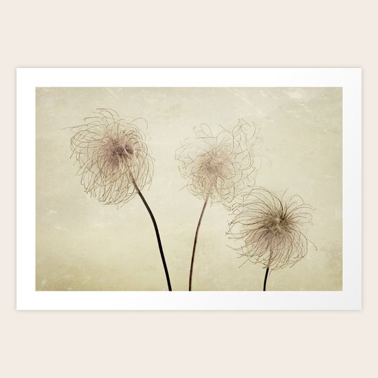 Trio Art Print