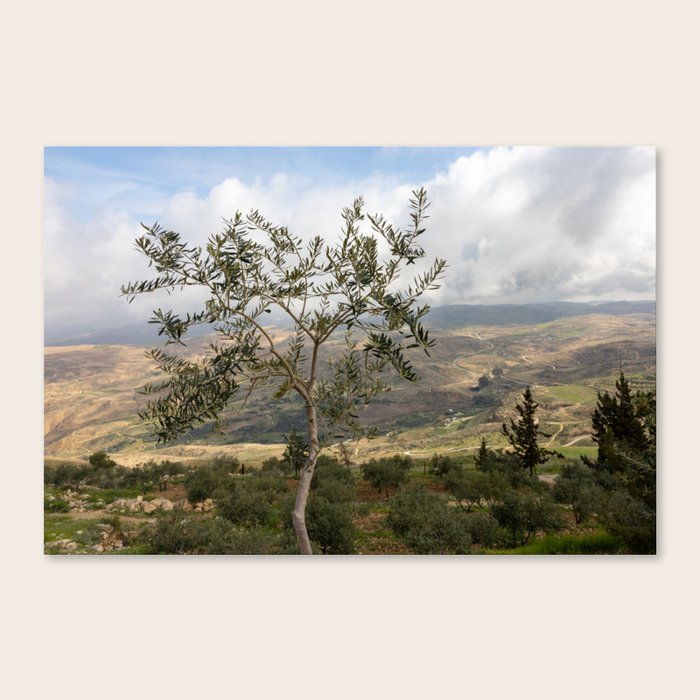 Canvas Print