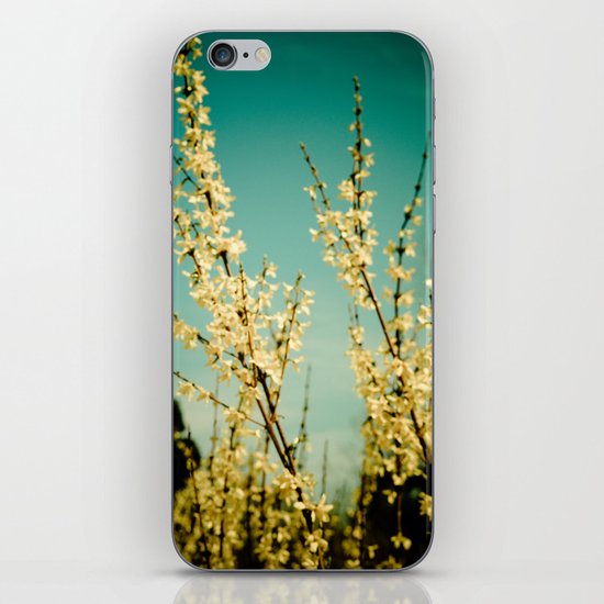 Rapturous iPhone & iPod Skin