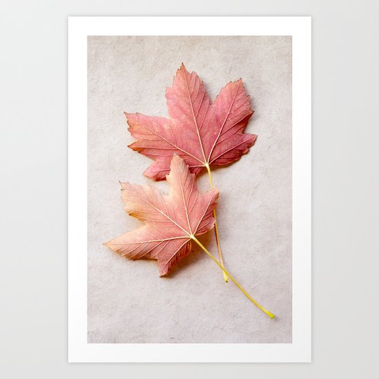 Maple Reds Art Print