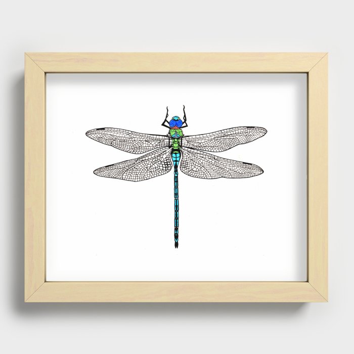 Emperor Dragonfly Recessed Framed Print