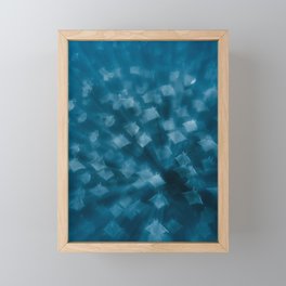 Mobula Rays in Baja California Sur, Mexico (Sea of Cortez) | Underwater Photography Framed Mini Art Print