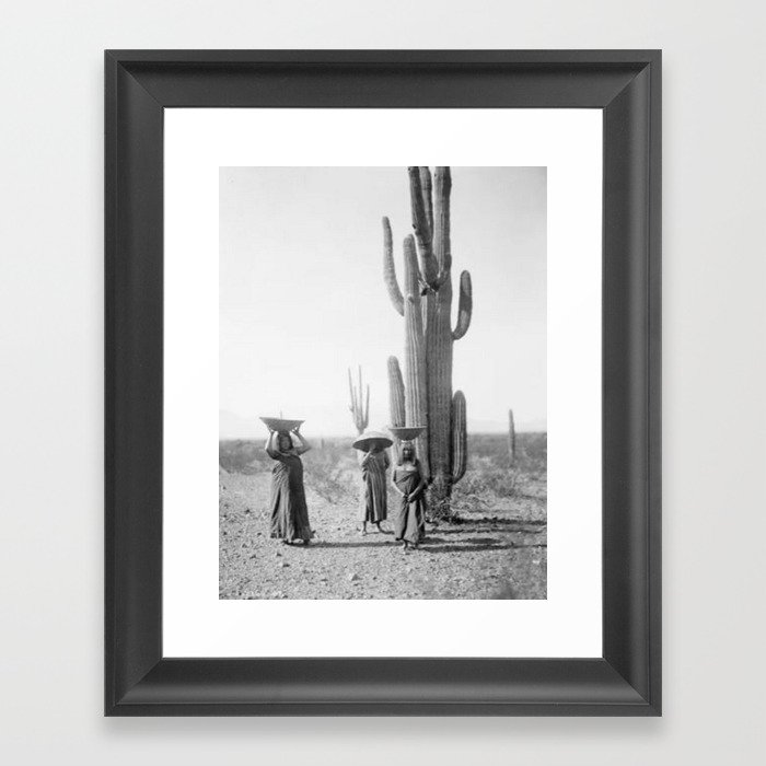 Native American Cactus Framed Art Print