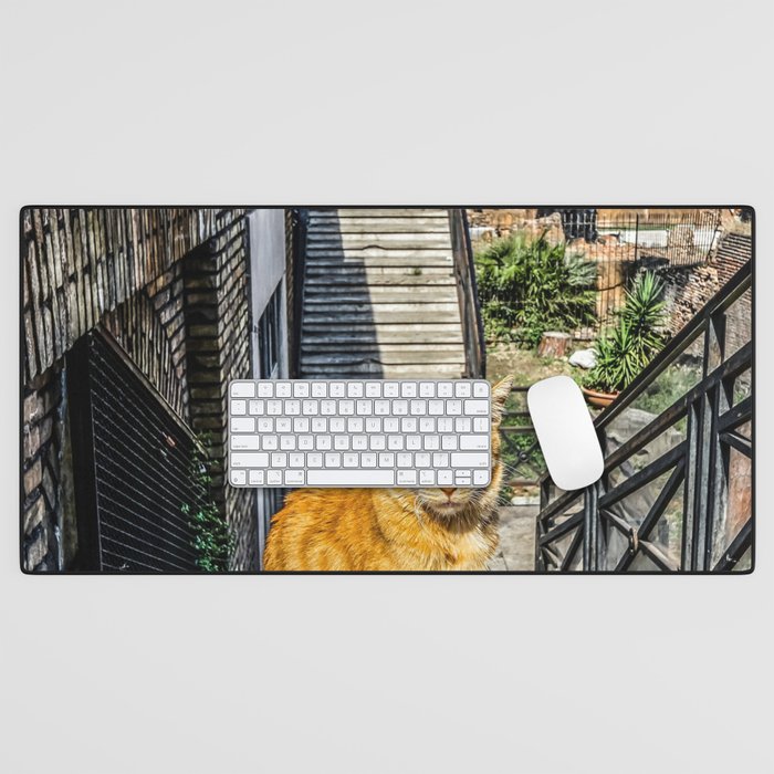 Argentina Photography - Beautiful Orange Cat Standing At The Stone Stairs Desk Mat