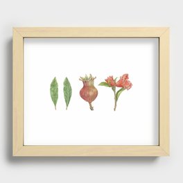 Pomegranate Recessed Framed Print
