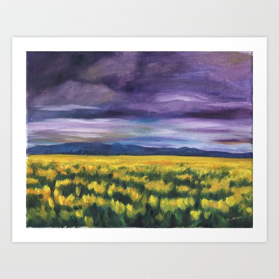 Field of Yellow Tulips Art Print