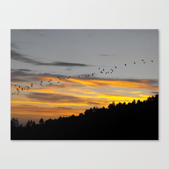 Flying South Canvas Print
