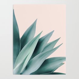 Agave flare II - peach Poster