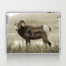 Hungry Goats Laptop & iPad Skin