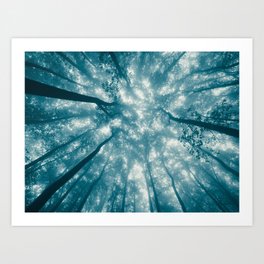 Smoky Mountain Summer Forest Teal - National Park Nature Photography Art Print