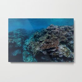 Coral Reef II Metal Print | Tropical, Algae, Scuba, Ocean, Americansamoa, Platingcoral, Island, Branchingcoral, Underwater, Reef 