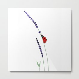 red ladybug and purple lavender Metal Print