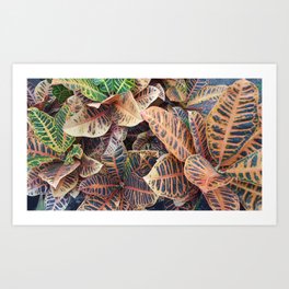 Crotons Art Print | Yellow, Color, Orange, Green, Nature, Plant, Stripes, Photo, Croton, Digital 