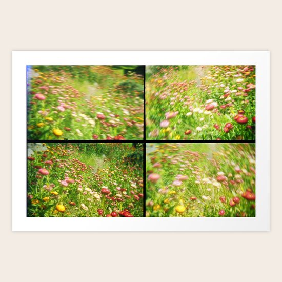 FLOWERS 002 Art Print