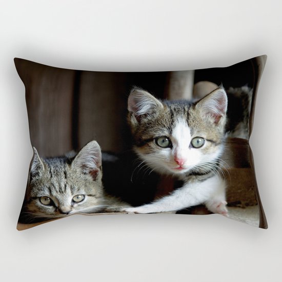 A small cats dream team in the siesta Rectangular Pillow