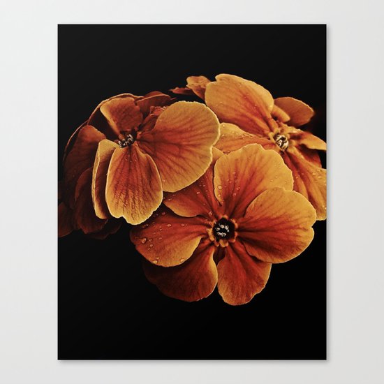 Primrose Posy Canvas Print