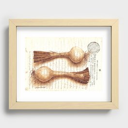 Two onions Recessed Framed Print