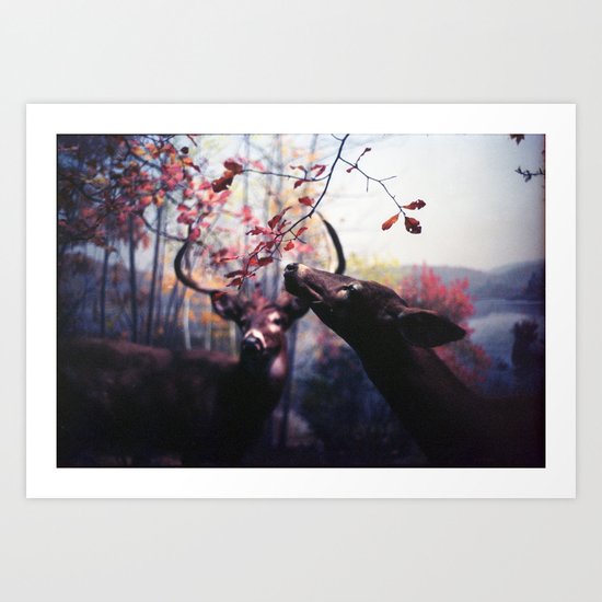 Delicacy Art Print
