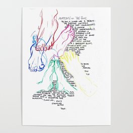 Anatomy - Foot Poster