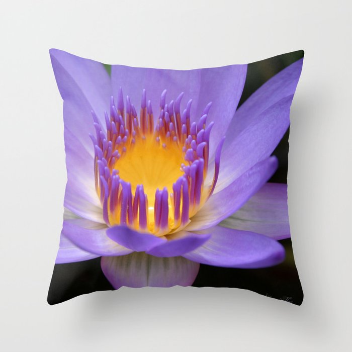 My Soul Dressed in Silence Throw Pillow