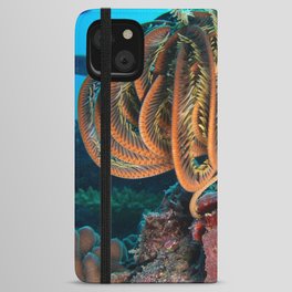 Sea Fish iPhone Wallet Case