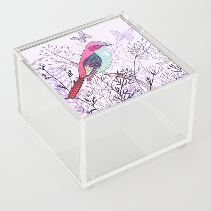 Colorful Birdie Acrylic Box