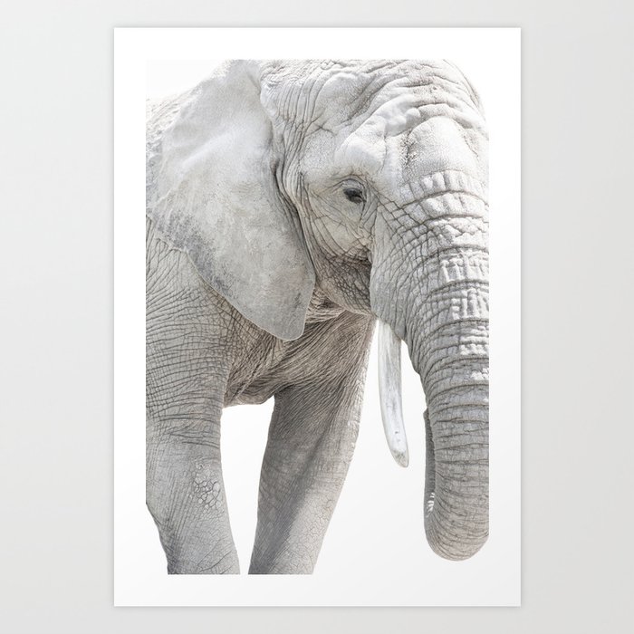 Elephant Photography | Minimalism | Animal | African Wildlife Art Print