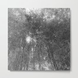 sun forest in black and white Metal Print | Nature, Moody, Bambooforest, Woods, Trees, Timeless, Sustainable, Black And White, Classy, Sunforest 