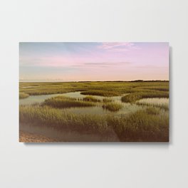 Provincetown Moors Metal Print