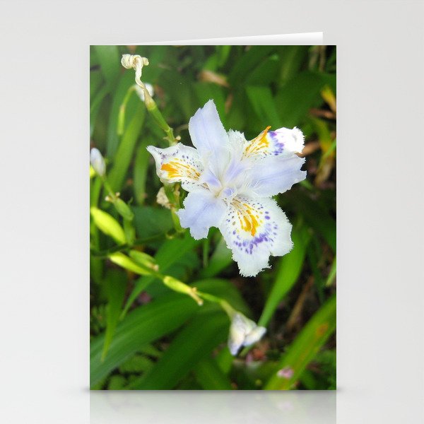 Iris Japonica Stationery Cards