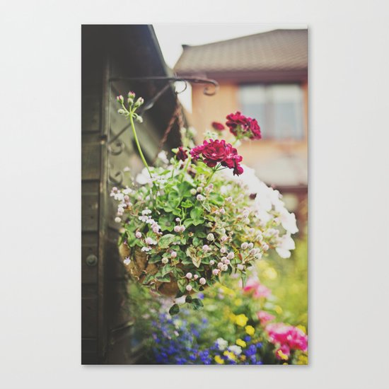flowers... Canvas Print
