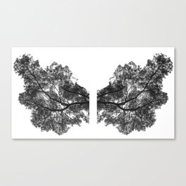 Lungs | breathe through the trees Canvas Print