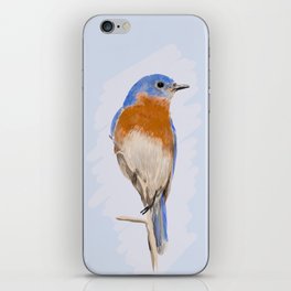 Eastern Bluebird  iPhone Skin