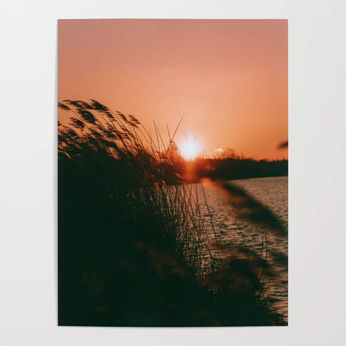 Sunset  Poster