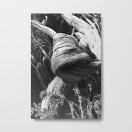 Gnarled Tree Metal Print