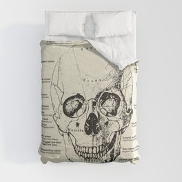 Vintage Anatomy Skull  Comforter