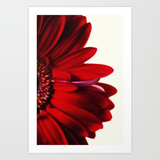 flowers Art Print