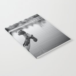 School daze; girl pulling childhood teddy bear out of lake breakup relationship female black and white photograph - photography - photographs Notebook