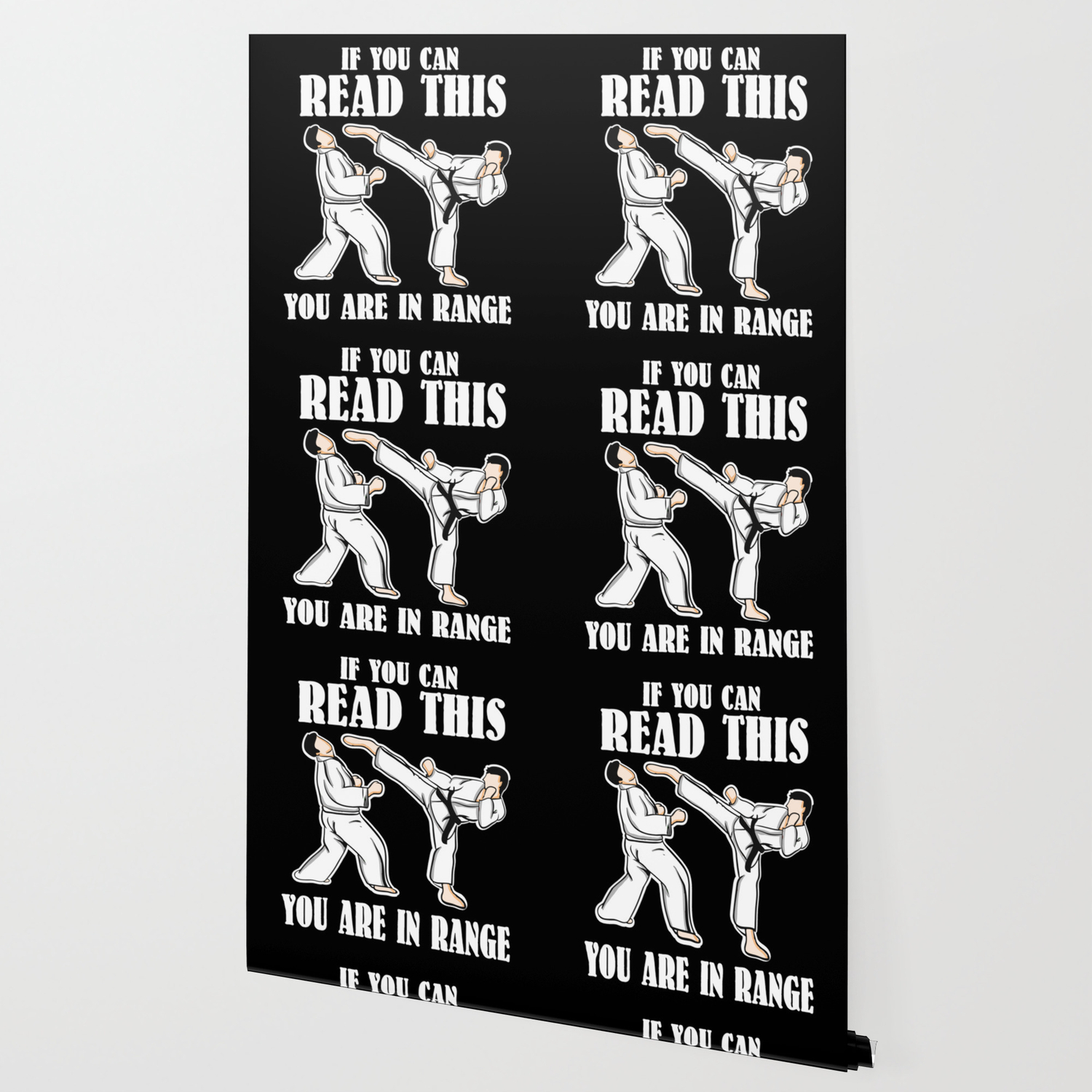 If You Can Read This You Are In Range Martial Arts Wallpaper By