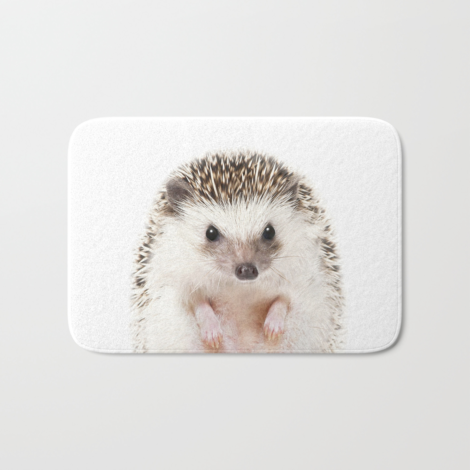 Baby Hedgehog Bath - Can Hedgehogs Get A Cold My Baby Has Been Sneezing But After Giving Her A Bath And Some Tlc She Seems To Be Okay Any Advice Would Be Helpful Old Photo Hedgehog / In an adorable new video these two take bath time to a whole new level of cuteness!