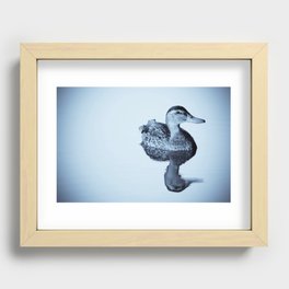 duck Recessed Framed Print
