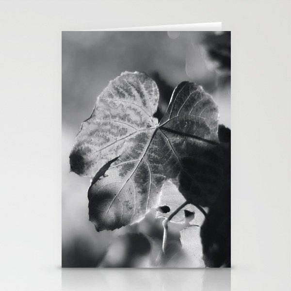 Autumn Grape Leaf in Black and White Stationery Cards